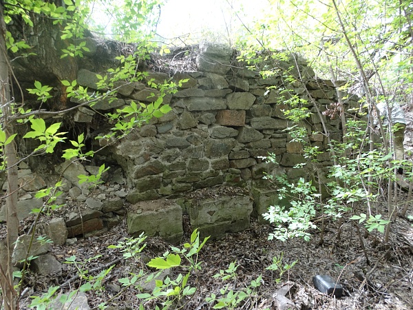 Руины бывшей водяной мельницы Ильиных около деревни Прохорово